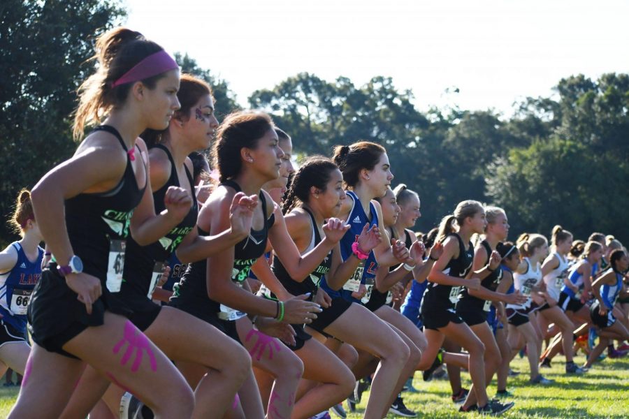 JV girls starting their two mile race.