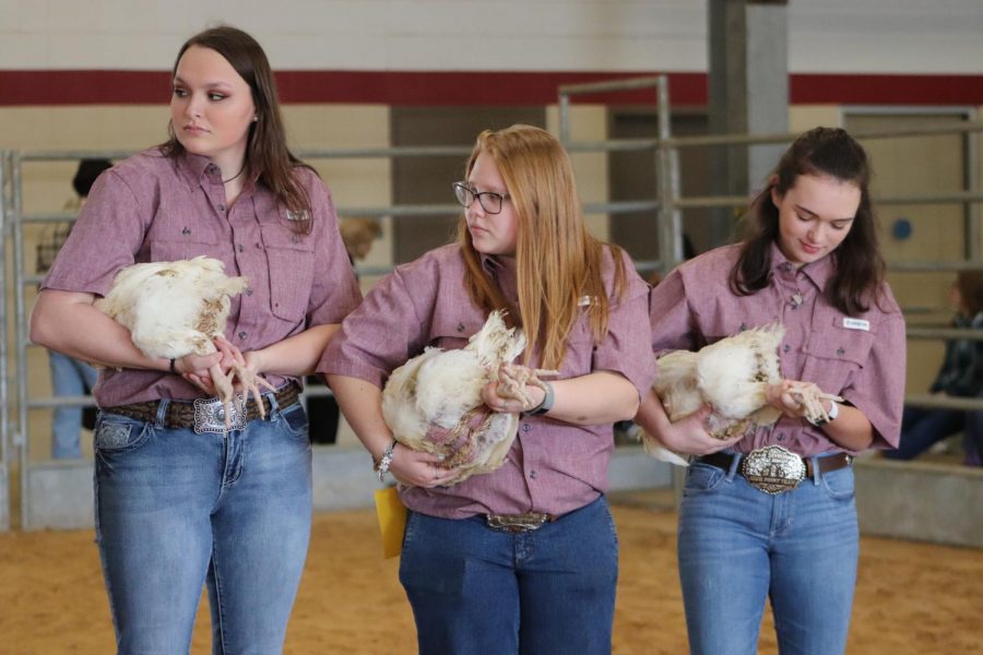 FFA+Students+Dominate+the+CCISD+Show+%26+Auction