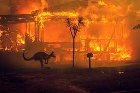 Australia Battles Wildfires Once Again