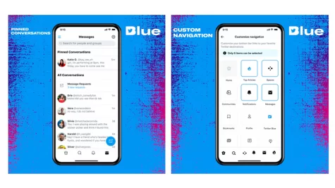 Twitter Blue screen
