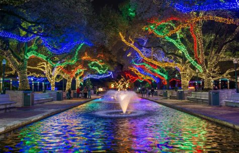 Houston Zoo Lights fountain