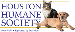 Fix Felix: Houston Humane Society offers free cat sterilizations