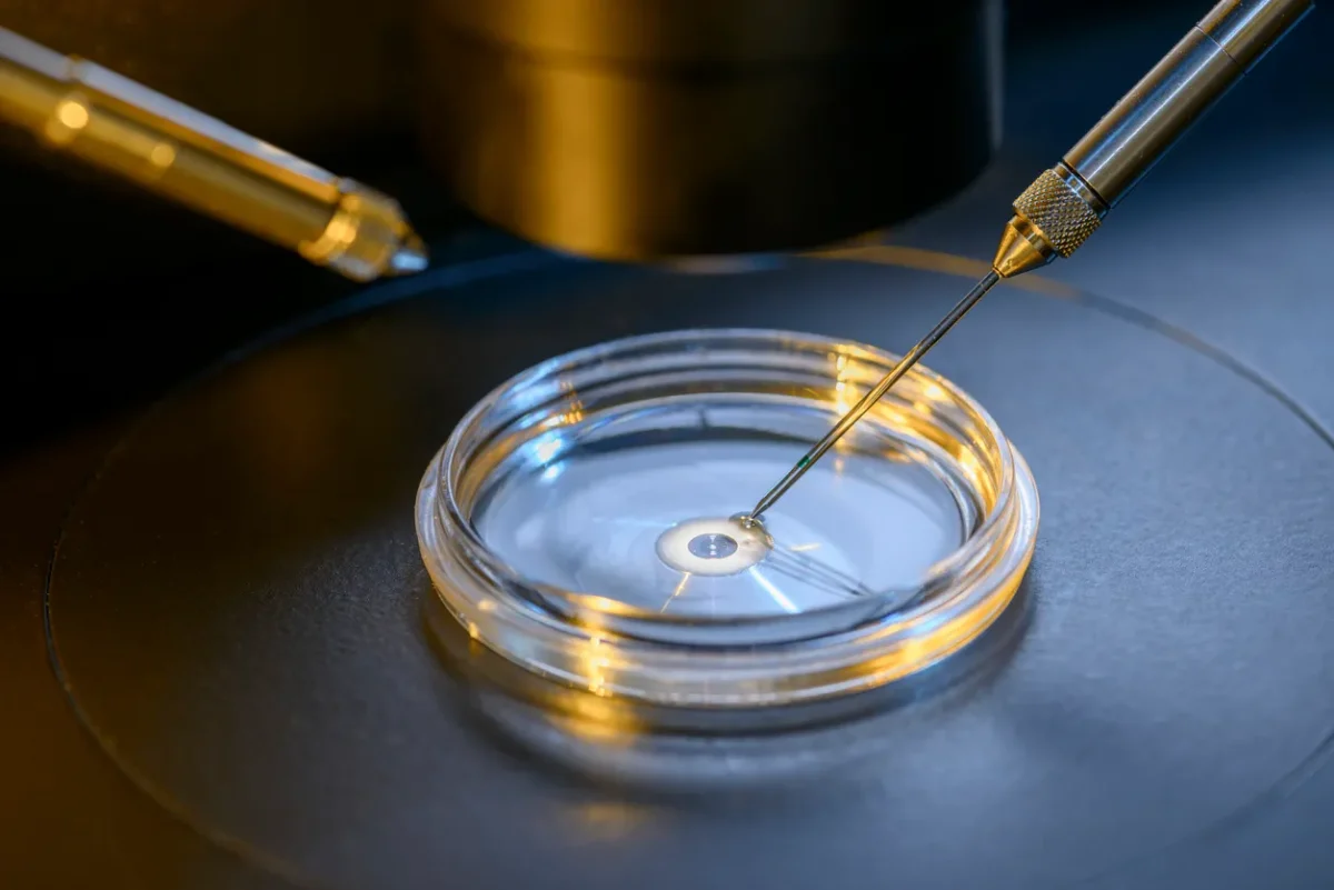 The IVF Journey from a Different Perspective
