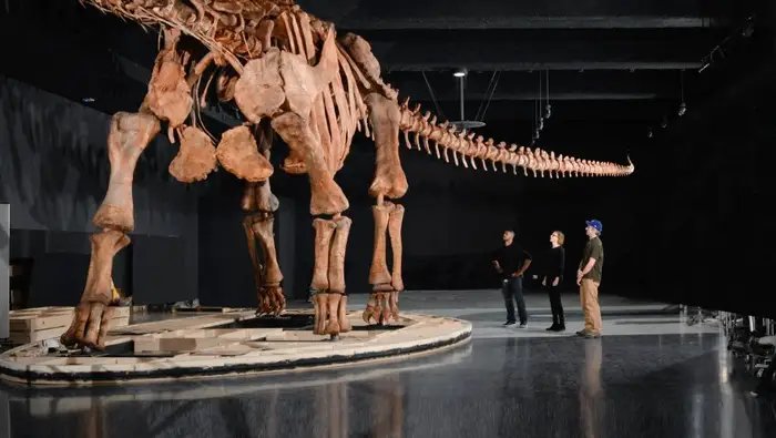 A 70-Million-Year-Old Giant Found in France