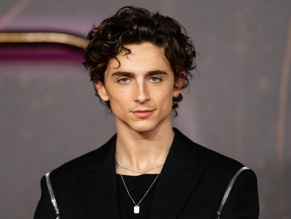 Timothee Chalamet Starts Controversial Debate About the Arts
